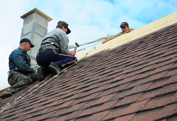 Best Shingle Roofing Installation  in Three Forks, MT